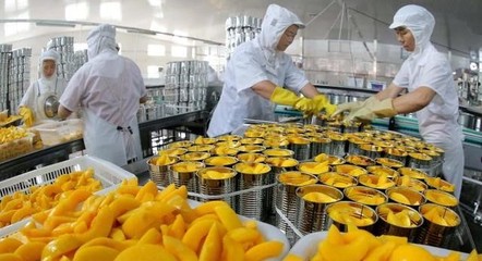 連云港韓李村:花果山下小村莊&ldquo;花果經(jīng)&rdquo;中奔小康