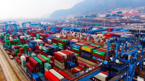 連云港港 暢通航線運(yùn)輸通道 構(gòu)建高質(zhì)量物流網(wǎng)絡(luò)